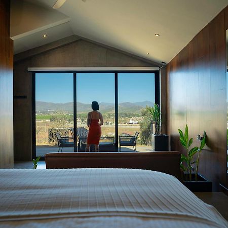 Bajo Estrellas Hotel Contemporaneo Valle de Guadalupe Extérieur photo