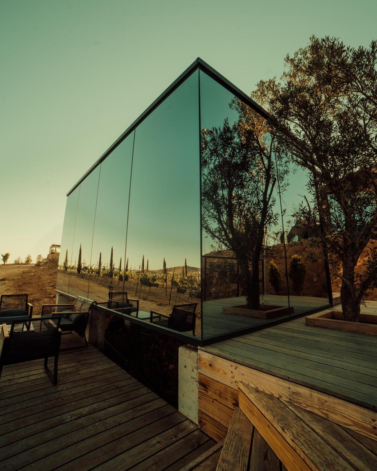 Bajo Estrellas Hotel Contemporaneo Valle de Guadalupe Extérieur photo